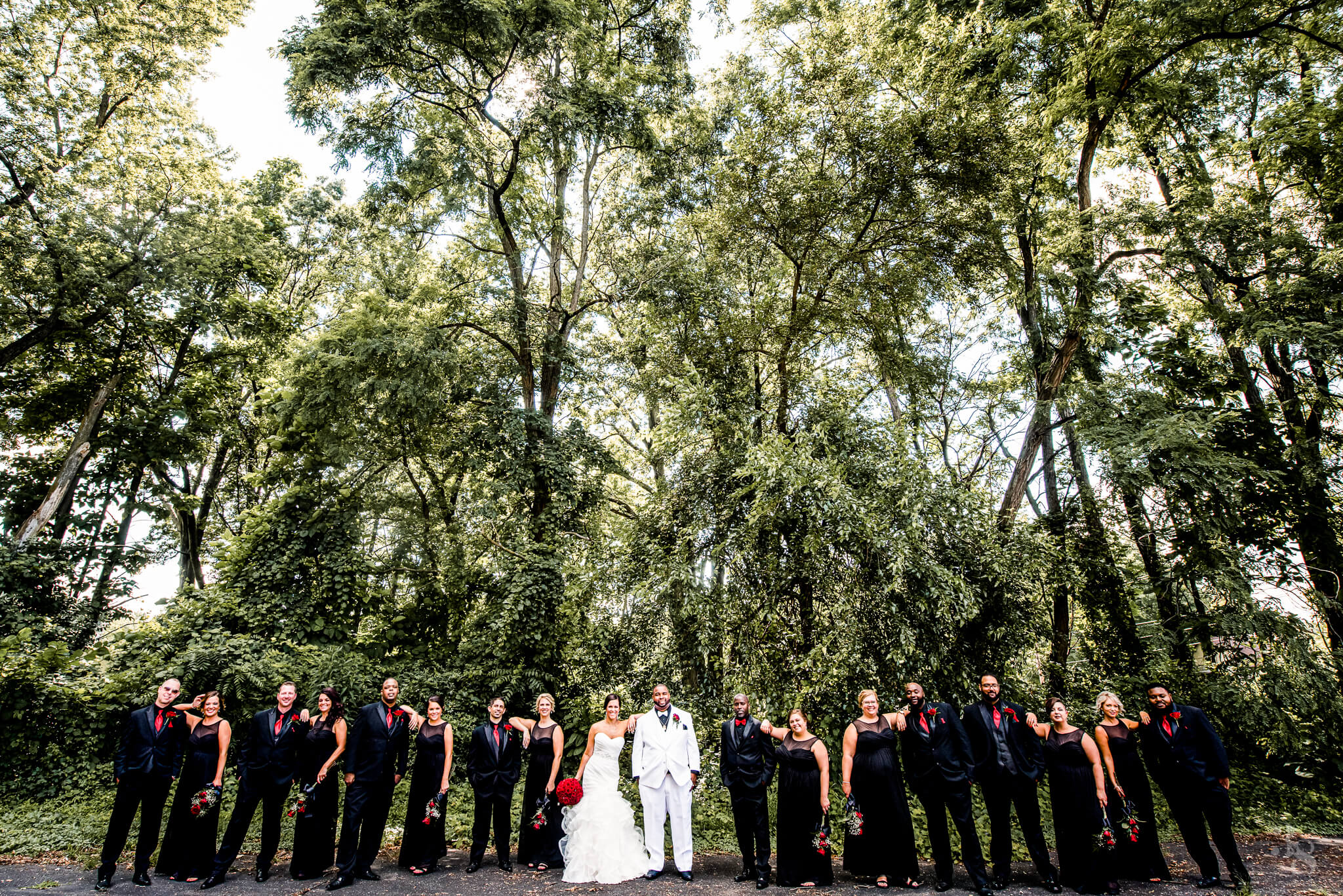 large wedding party in grassy area on wedding day