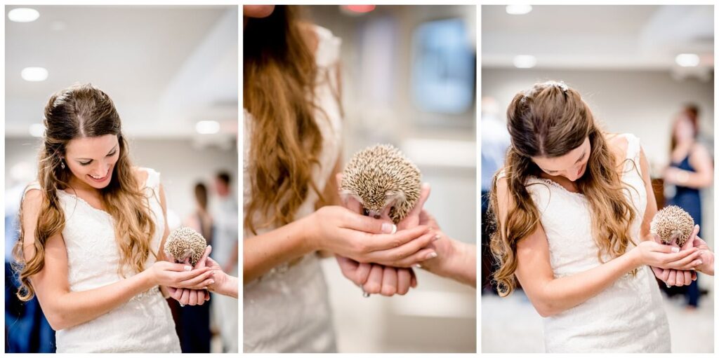 bride holding hedgehog at cleveland zoo wedding captured by three and eight photography