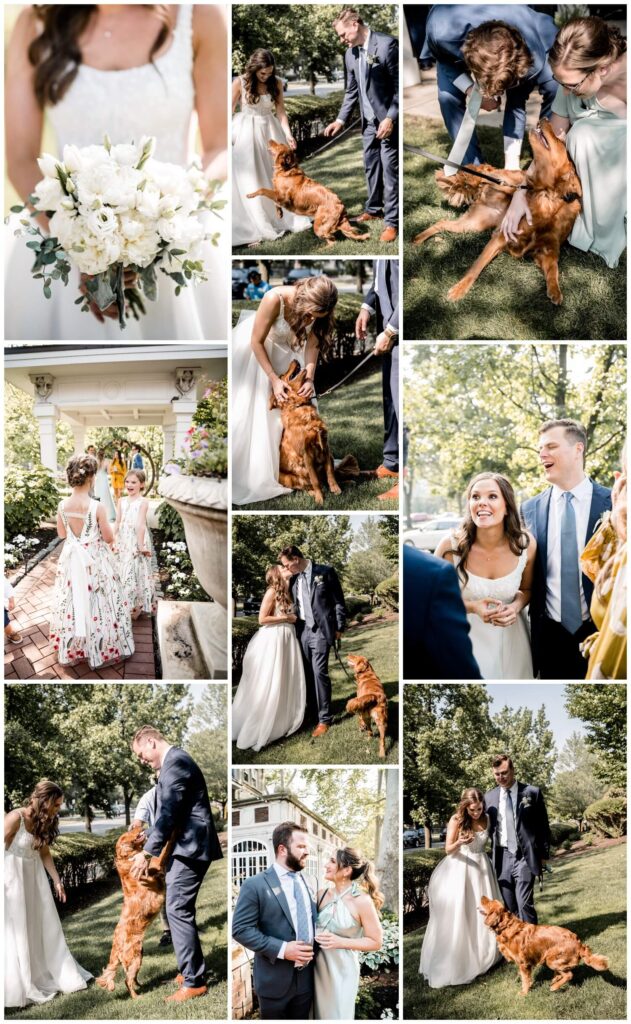 photos of bride and groom petting dog and having a good time at cocktail hour