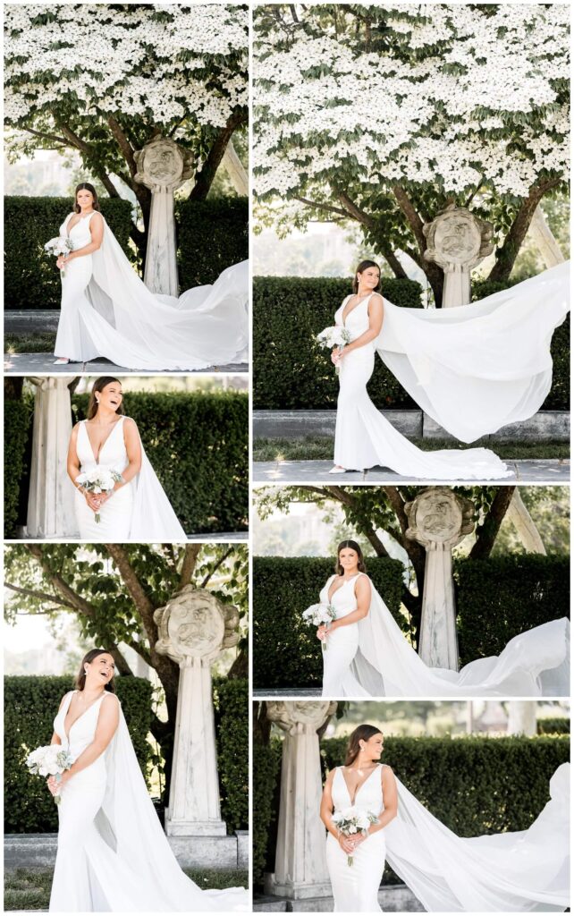 bride posing under tree at the Cleveland Museum of Art captured by three and eight photography