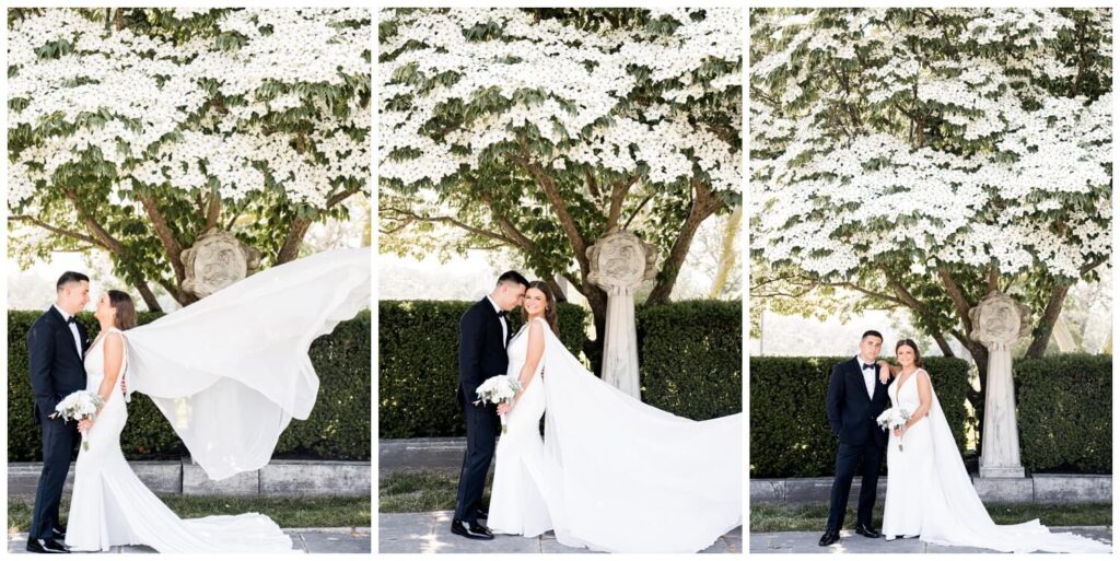 bride and groom posing together under blooming tree and cleveland art museum with cape blowing in wind