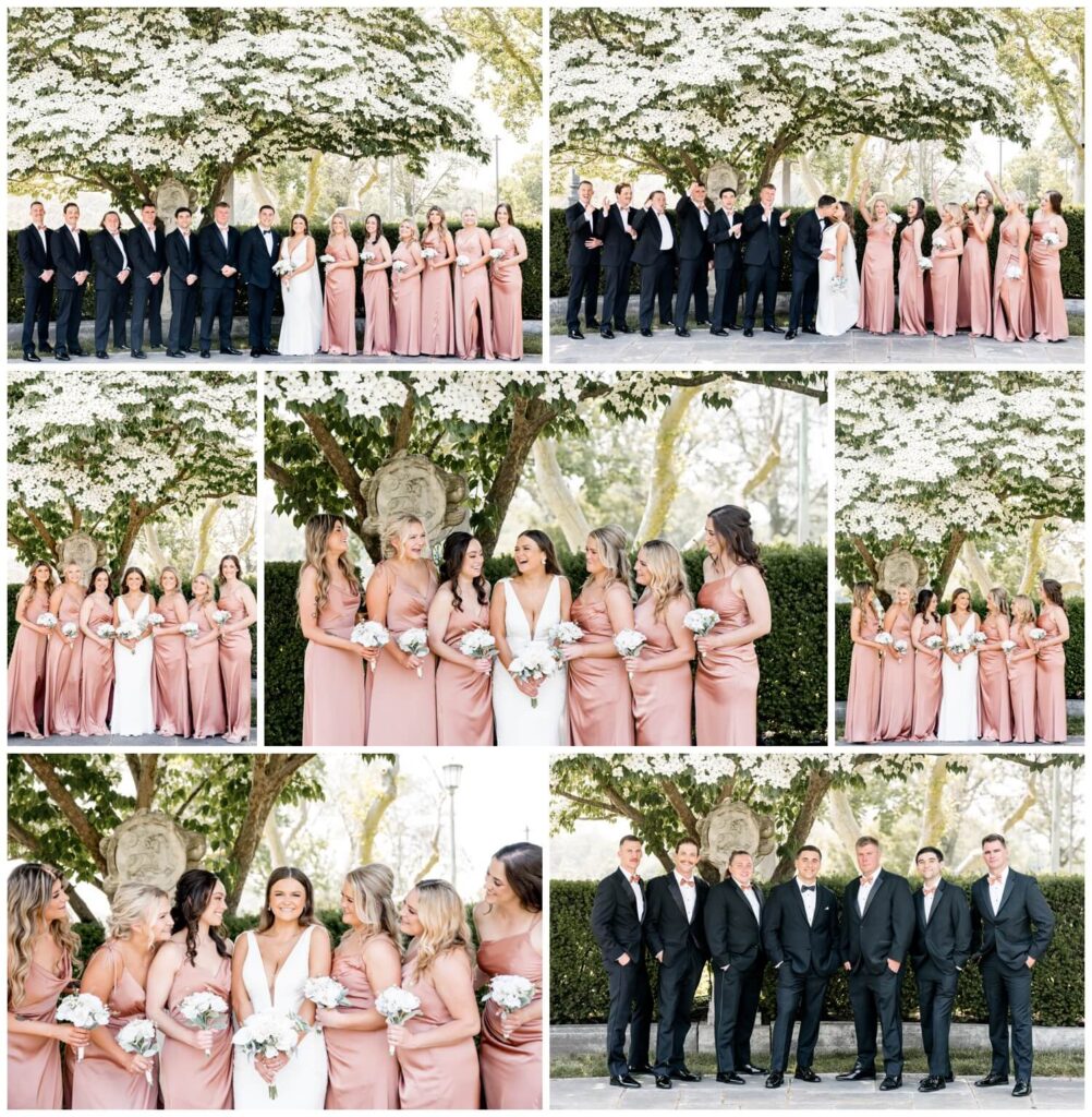 bride and groom posing with bridal party under tree at the cleveland museum of art