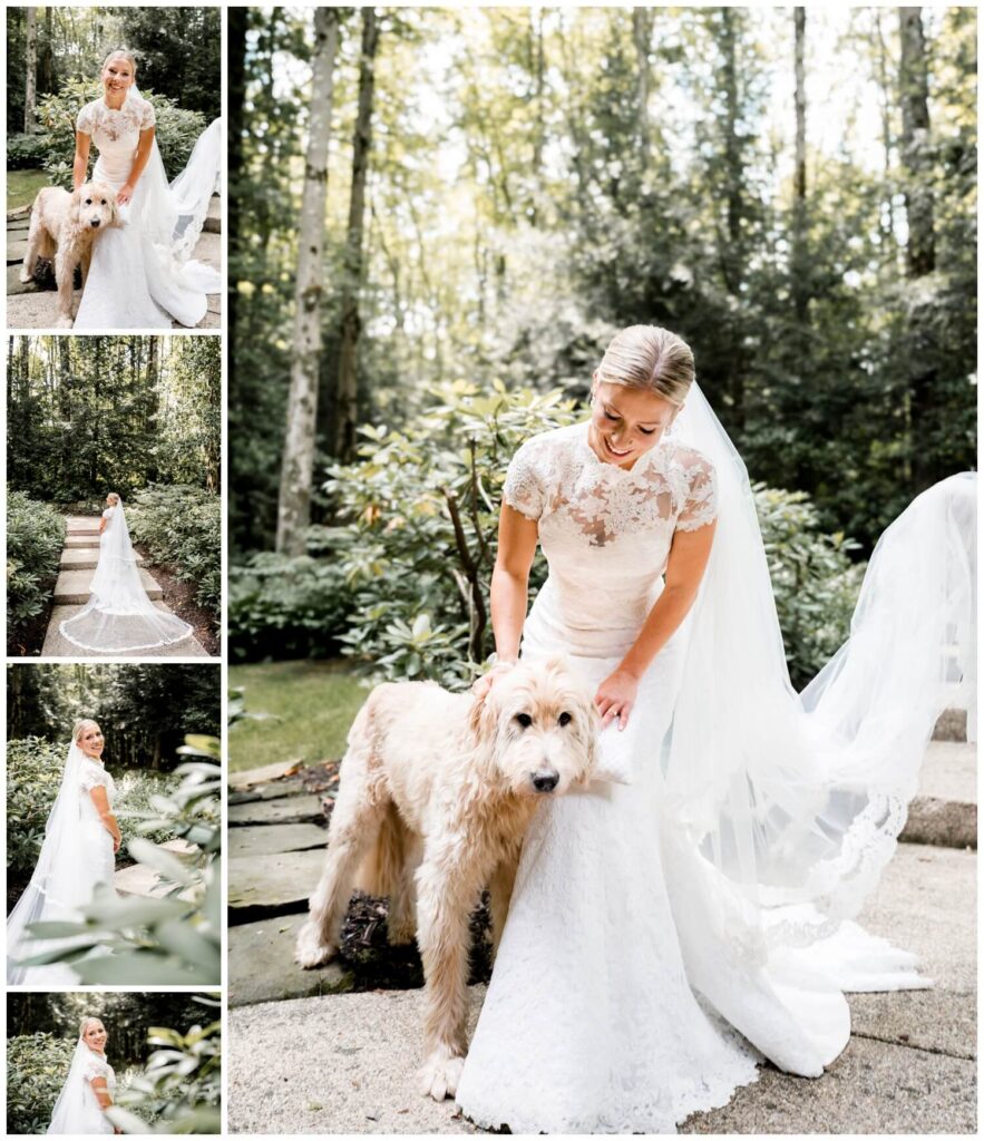 bride posing with dog on Chagrin Valley Country club wedding in cleveland ohio